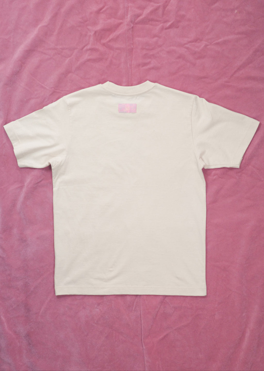 T-shirt 'Chubster' z parą Łabędzi